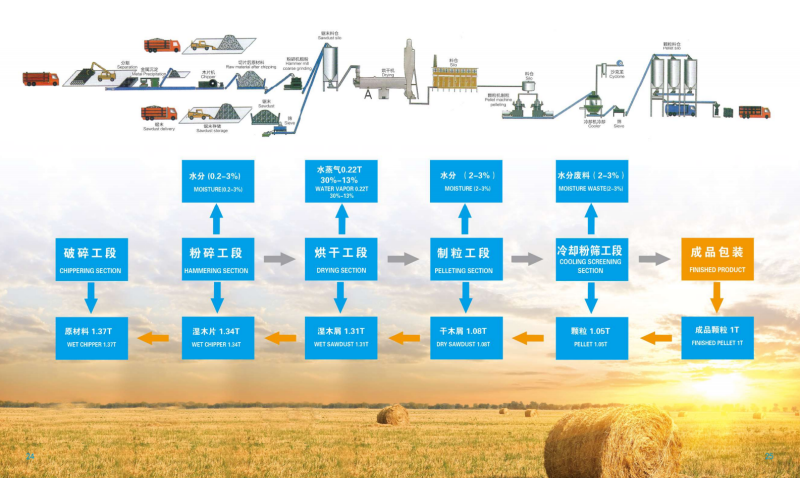 搜狐体育宣传册_13 - 副本.png